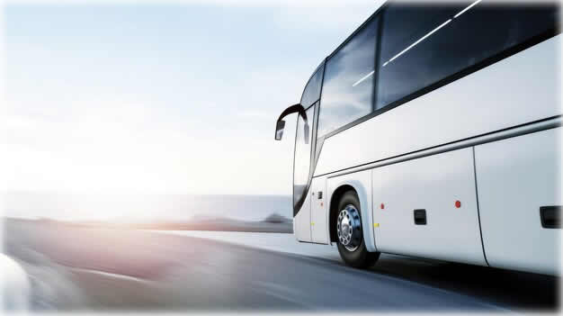 coach services